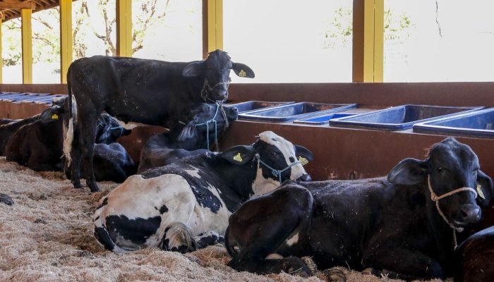 EXPO_10_dias_778e5e5bd9