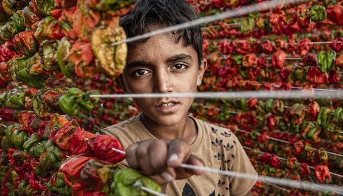 FCRPB Gold e-certificade - MANOLYA YESILTAS (Turkiye) - Cocuk_Isci