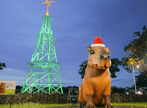 Ferias_Dona_Capi_55001fd4e7