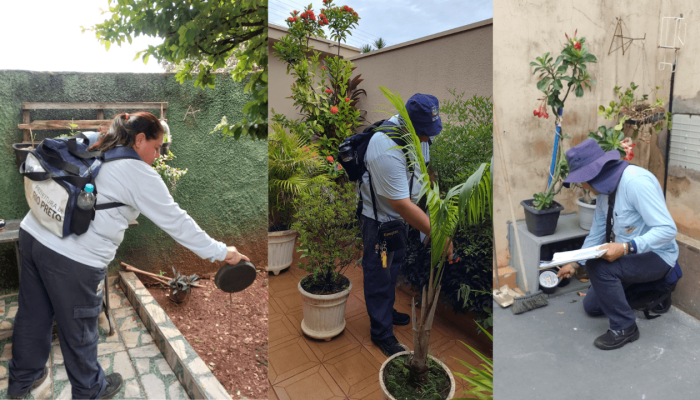 HD_1280_x_720_px_19_3265887042