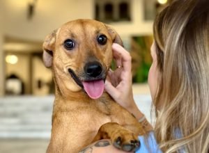 IMG_5586-scaled-e1774868328601-1024x616