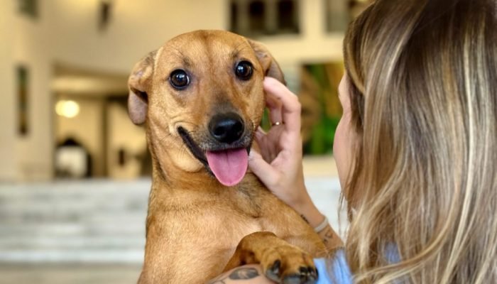 IMG_5586-scaled-e1774868328601-1024x616