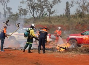 Imagem-do-WhatsApp-de-2025-09-01-as-18.12.06_948312cf-1024x682