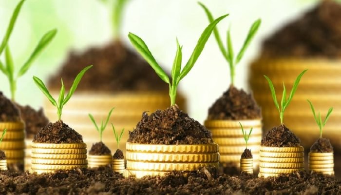 LTN (Letra do Tesouro Nacional): saiba tudo sobre esse título