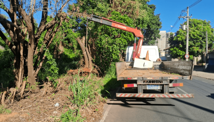 Limpeza_Troncos_Avenida_Mutirao_35db4253db