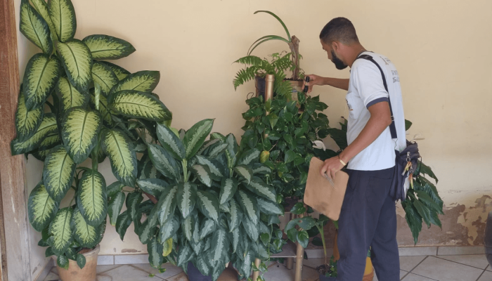 MUTIRAO_AGENTES_5_ETAPA_CAPA_8c1380a07a