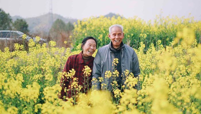 O que é SUNO PREV? Conheça o Fundo Previdenciário da