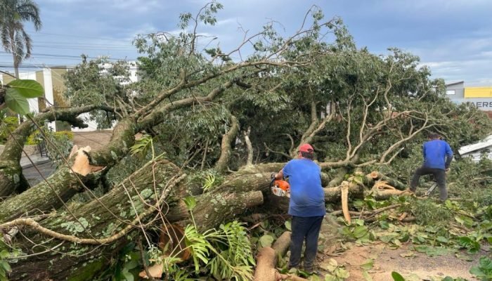 PHOTO-2025-11-02-21-33-23-1024x768