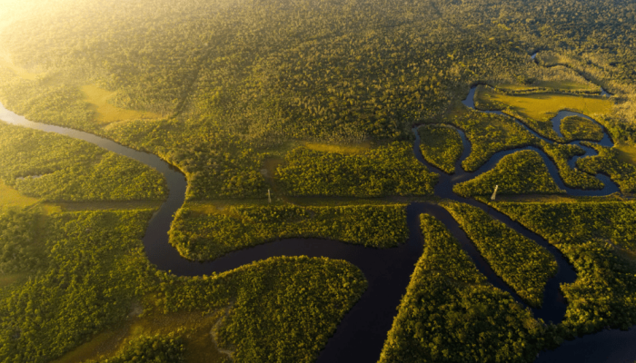 Amazônia registra menor desmatamento da série histórica em 2025, aponta MapBiomas Divulgação...
