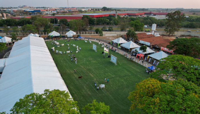 Vista-aere-do-Recinto-de-Exposicoes