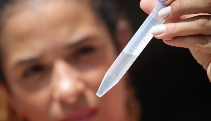 WhatsApp-Image-2025-01-24-at-10.27.06-1024x683