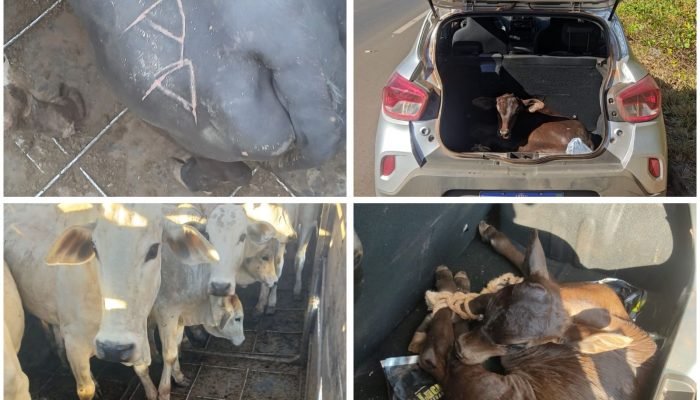 WhatsApp-Image-2025-09-01-at-11.44.03