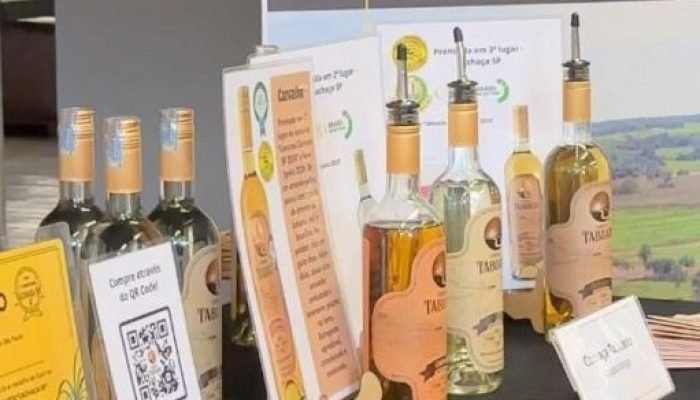 WhatsApp-Image-2025-12-15-at-16.06.53-768x759