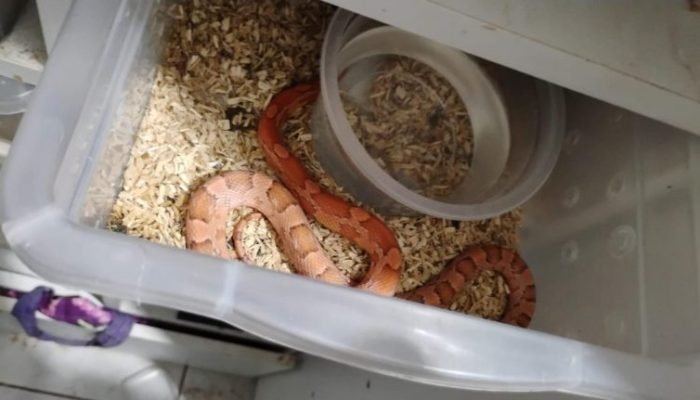 WhatsApp-Image-2026-01-14-at-15.29.47-768x431