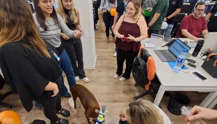 WhatsApp Image 2026-02-10 at 07.35.42