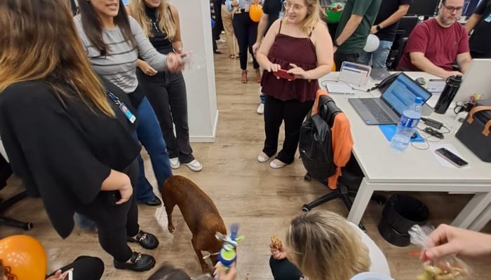 WhatsApp Image 2026-02-10 at 07.35.42