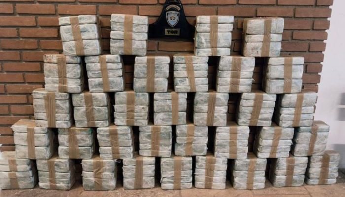 WhatsApp-Image-2026-03-12-at-12.10.44-768x613