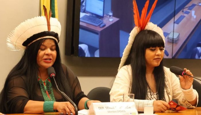 Sônia Guajajara e Célia Xakriabá Divulgação