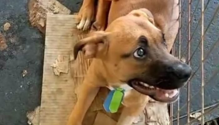 Whats_App_Image_2025_08_23_at_18_16_05_465fa67606