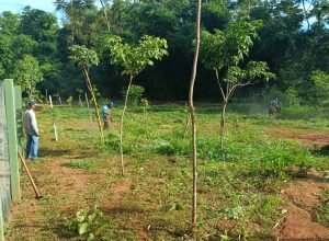 Whats_App_Image_2025_12_15_at_10_04_02_5b9c06e1ca