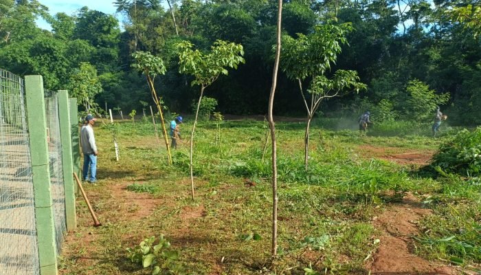 Whats_App_Image_2025_12_15_at_10_04_02_5b9c06e1ca