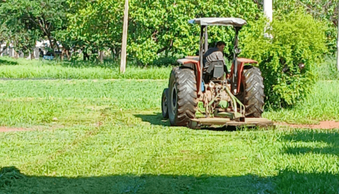 Zeladoria_Urbana_Mutirao_6131d43ad3