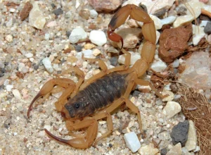 agencia-sp-a695a1a6-e006-4f61-a8b2-9a5c40ad9c9b