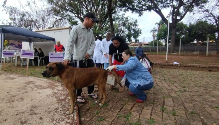 agita_pet_2d990dd62f