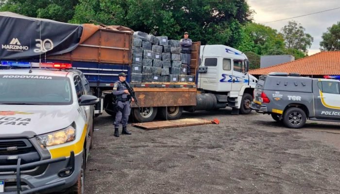 apreensao-droga-muralha-policia-rodoviaria-1024x698