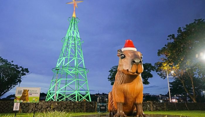 arvore_capi_fbb487e2da