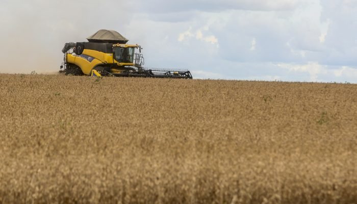 Colheitadeira de soja no campo: produtores relatam falta de diesel em meio ao período de de colh...