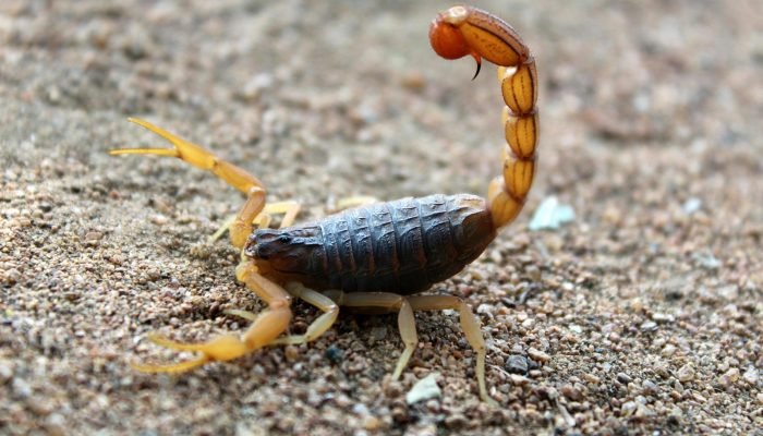 d422ac99-4809-4b7c-9627-62382f1ec6d4