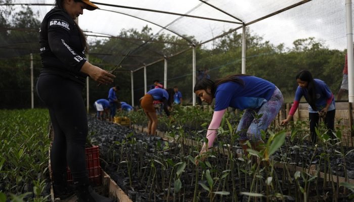 © Fernando Frazão/Agência Brasil