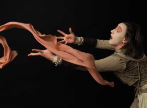 desaparecimentodeluiza_309e20cdd5