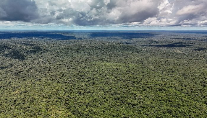 © Rafa Neddermeyer/Agência Brasil