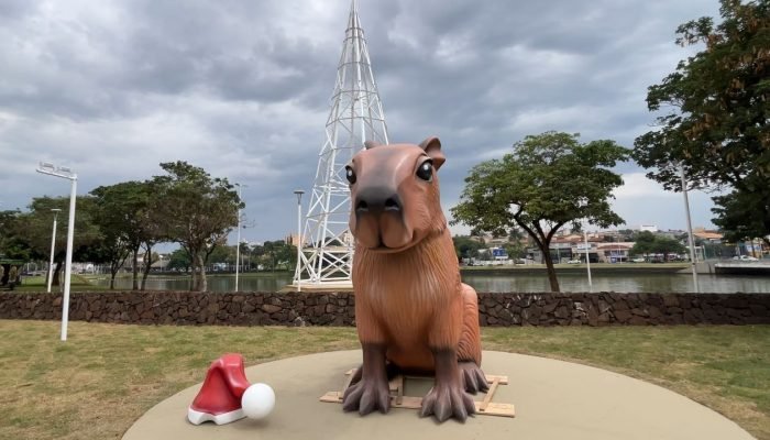 dona_capi_8fbfd94a72