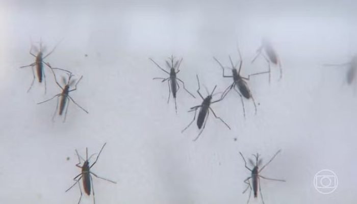 e4c395a524e36c3ca7257a59bd322a37