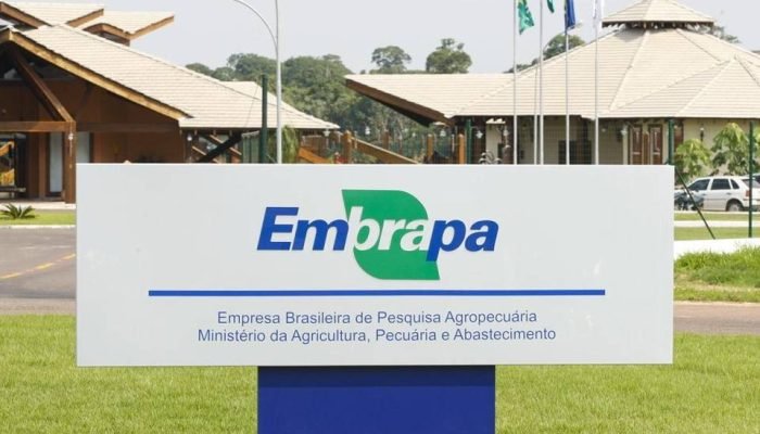 Característica importante para o sucesso da Embrapa foi o direcionamento da inovação para as n...