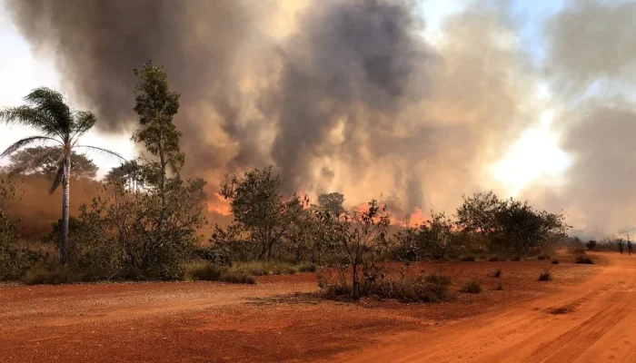Baixos índices de umidade relativa do ar favorecem a propagação do fogo em áreas com vegetaç...