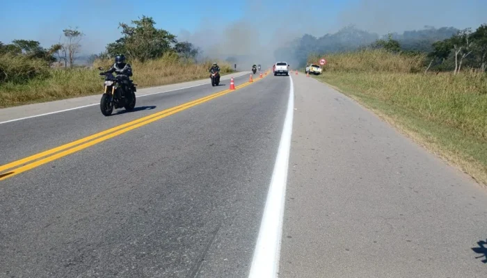 Os incêndios próximos às rodovias também impactam a fauna silvestre. Com o fogo, os animais b...