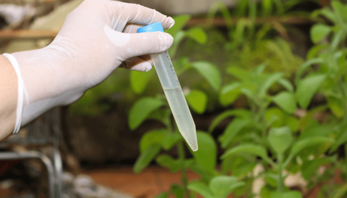 indice_predial_reduz_80_por_centro_756cc27fa6