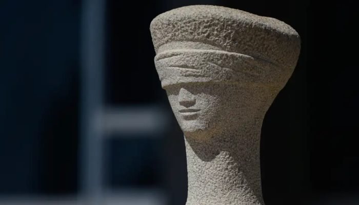 A expansão permanente do poder institucional altera a própria concepção de cidadania. O indiv...