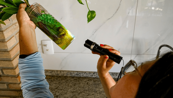 mutirao_aedes_capa_63562b3777