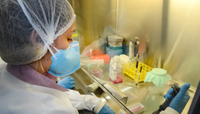 pesquisa-usp-cientistas-estudo-1024x603