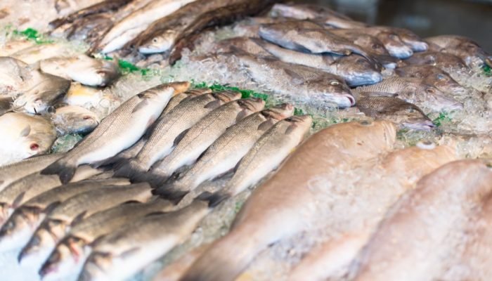raw-fish-market-1024x683