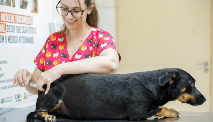 sabado_com_vacina_ccz_capa_25_4_26_cda0c184e0