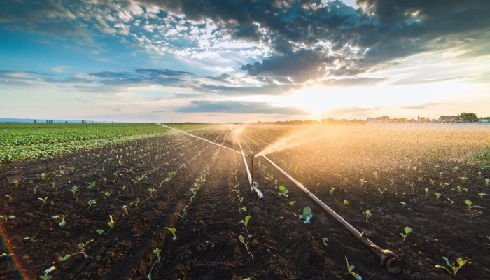 Com fomento do SP Produz, CPL de Guaíra expande atuação e se fortalece como polo de irrigaçã...