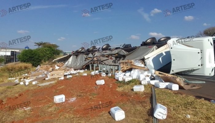 transbordo-mirassol-1