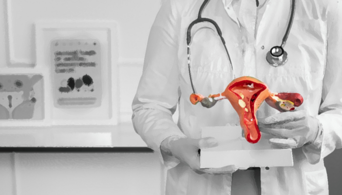 utero-trigemeos-doacao-1024x553